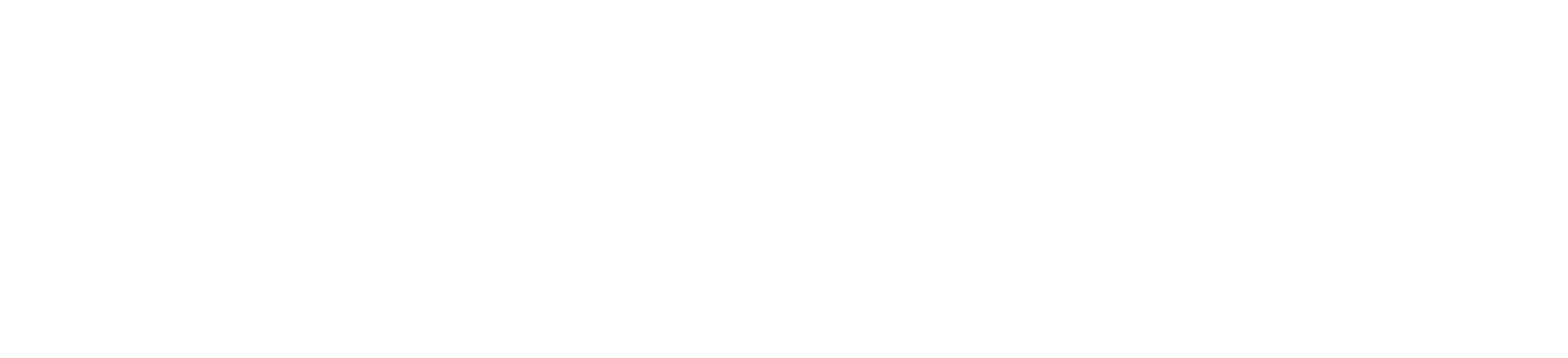 Ruhi Ventures Capital & Partners